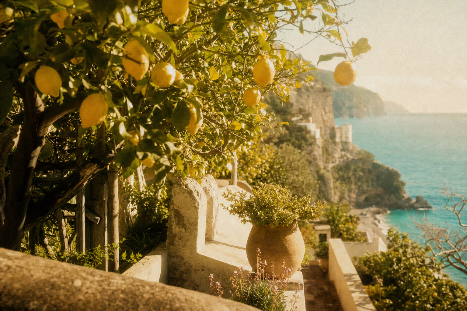 Lemon tree at golden hour overlooking the Amalfi coast